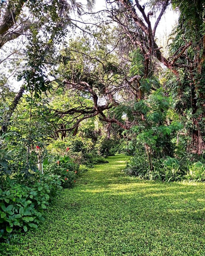 The Maun Studios ภายนอก รูปภาพ