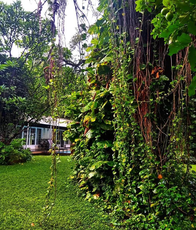 The Maun Studios ภายนอก รูปภาพ